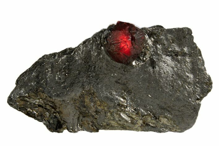 Red Embers Garnet in Graphite - Massachusetts #313448
